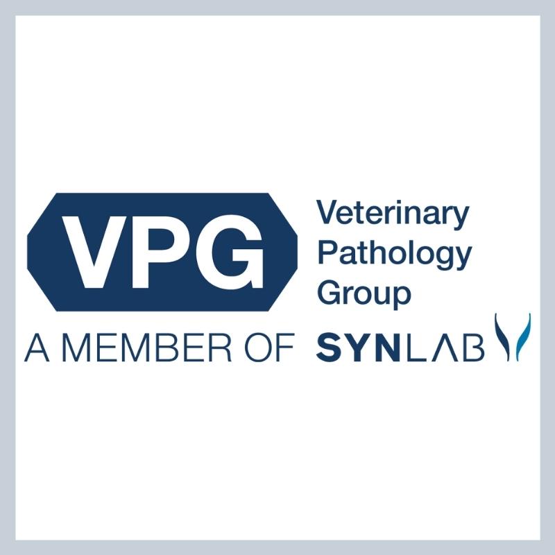 Blue VPG logo on white background