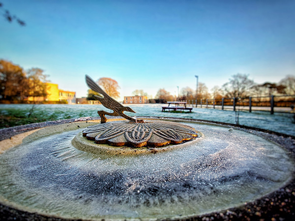 Image of frost on bird bath at Leahurst campus