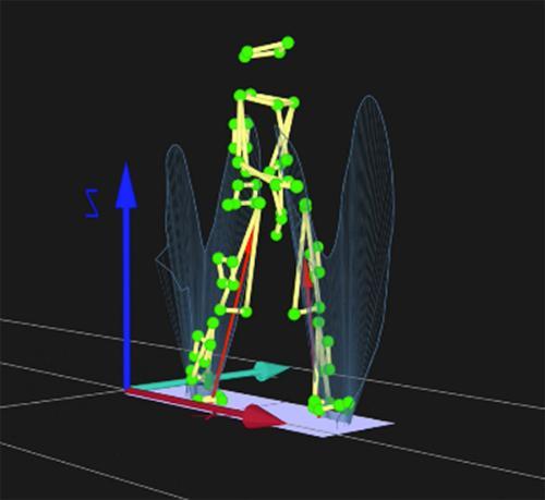 Evolutionary Morphology and Biomechanics Group