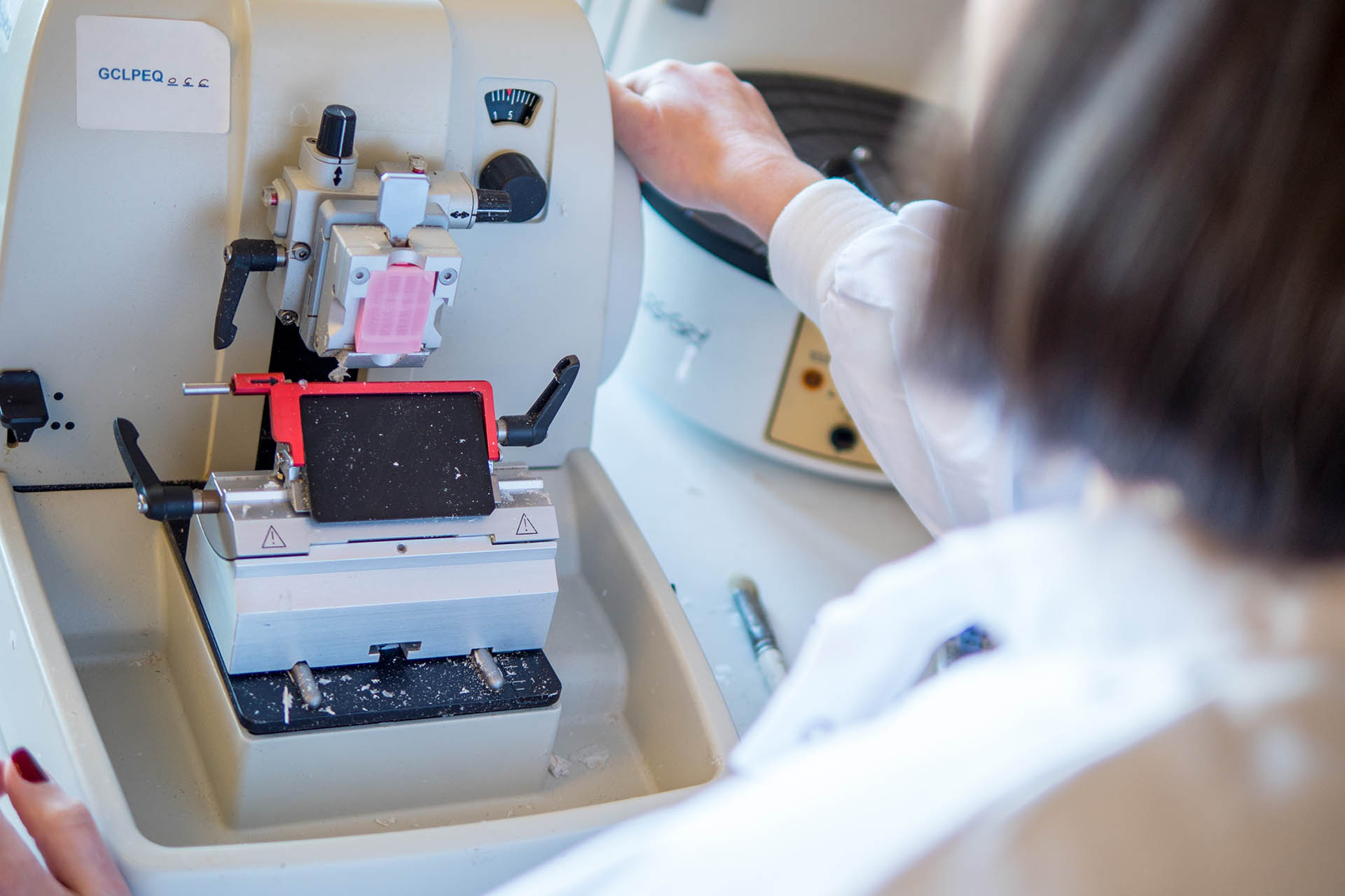 Female scientist using machine in a lab