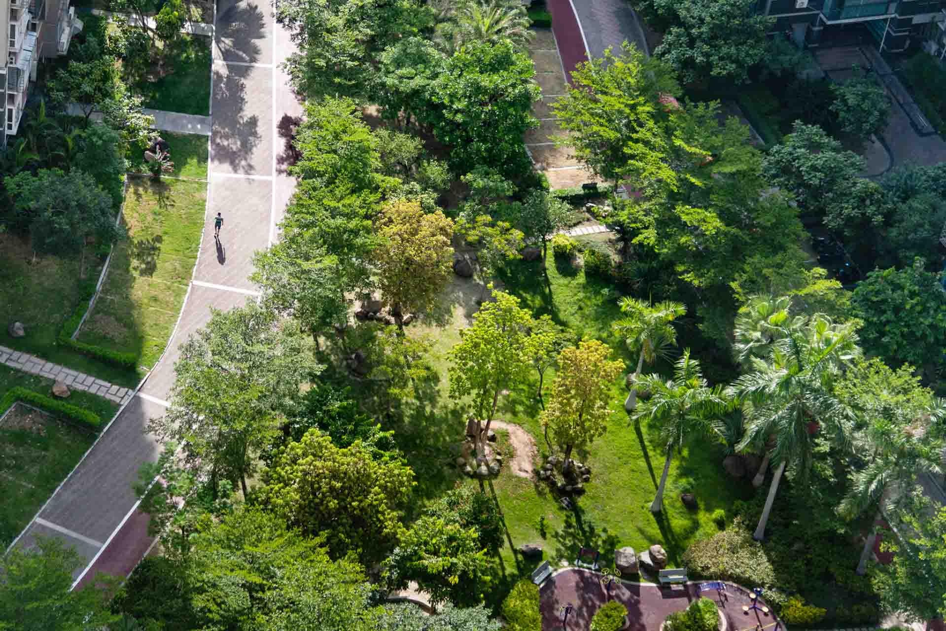 aerial shot of a green space within the central court of a housing estate.