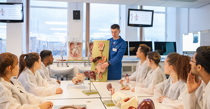 Students sitting at a table with anatomy models