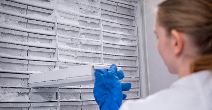 Scientist using the frozen biobank