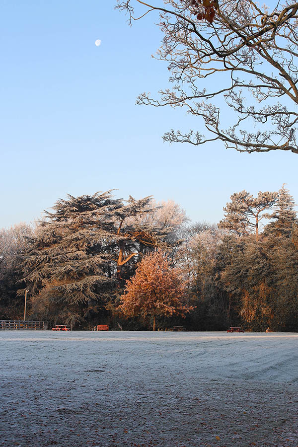Frosty morning image of leahurst campus