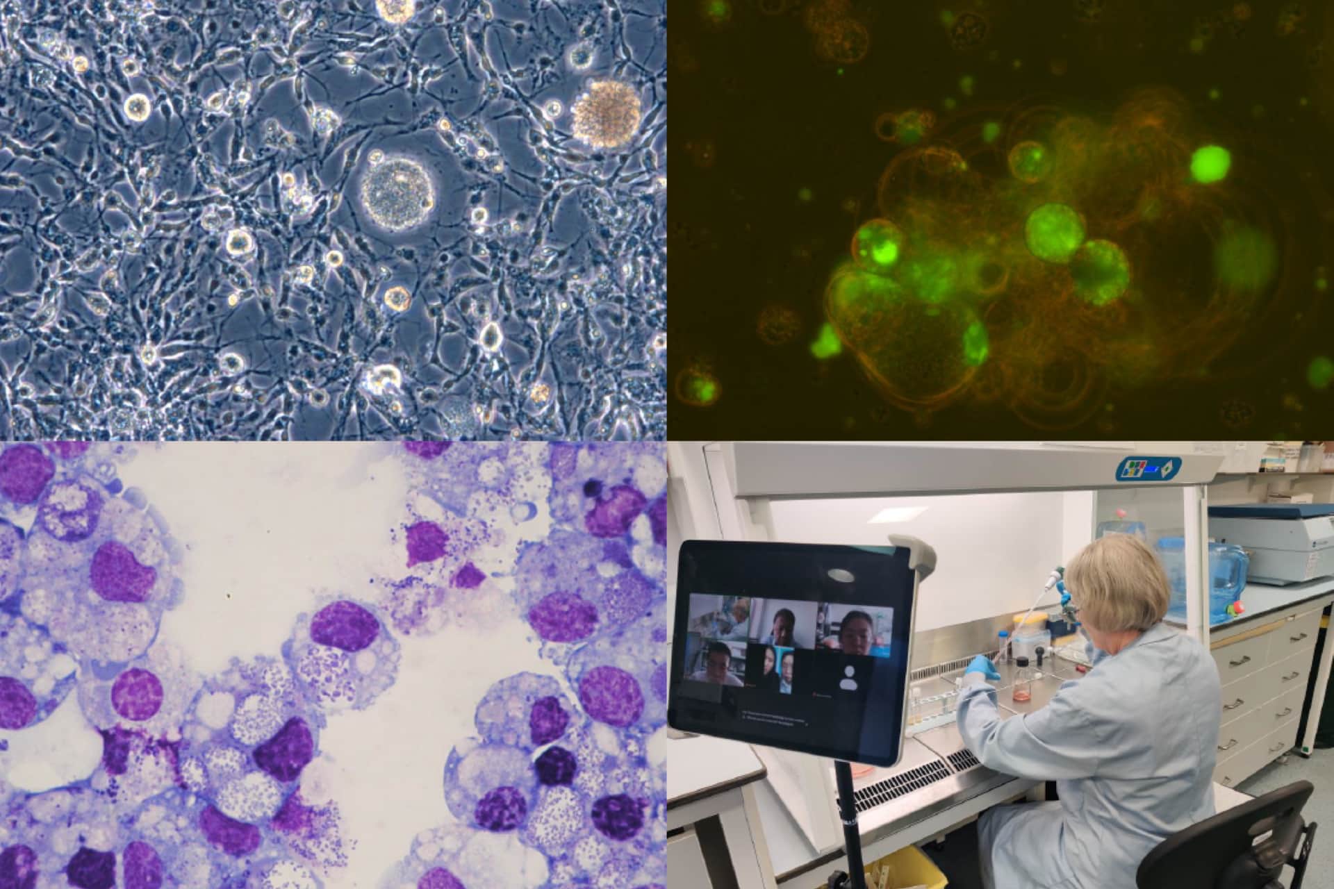 A collage of images relating to the Tickcell Biobank