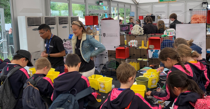 Children taking part in activities at the Faculty's stand at the Cheltenham Science Festival