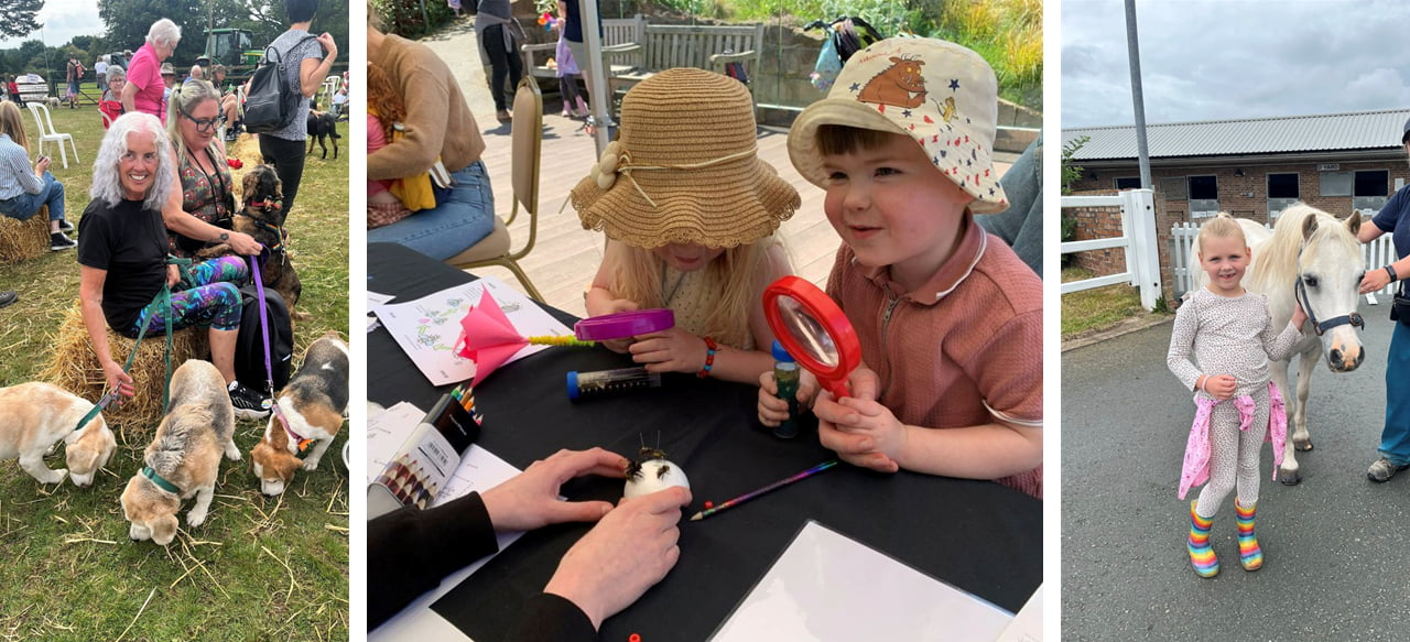 Public Engagement Highlights Outdoor