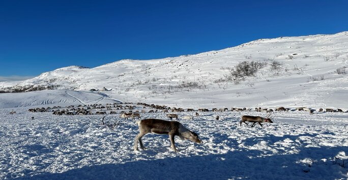 From the Lab to the Tundra