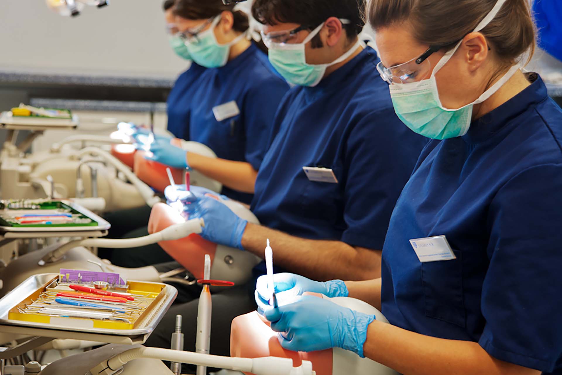 Dentistry students working on phantom heads