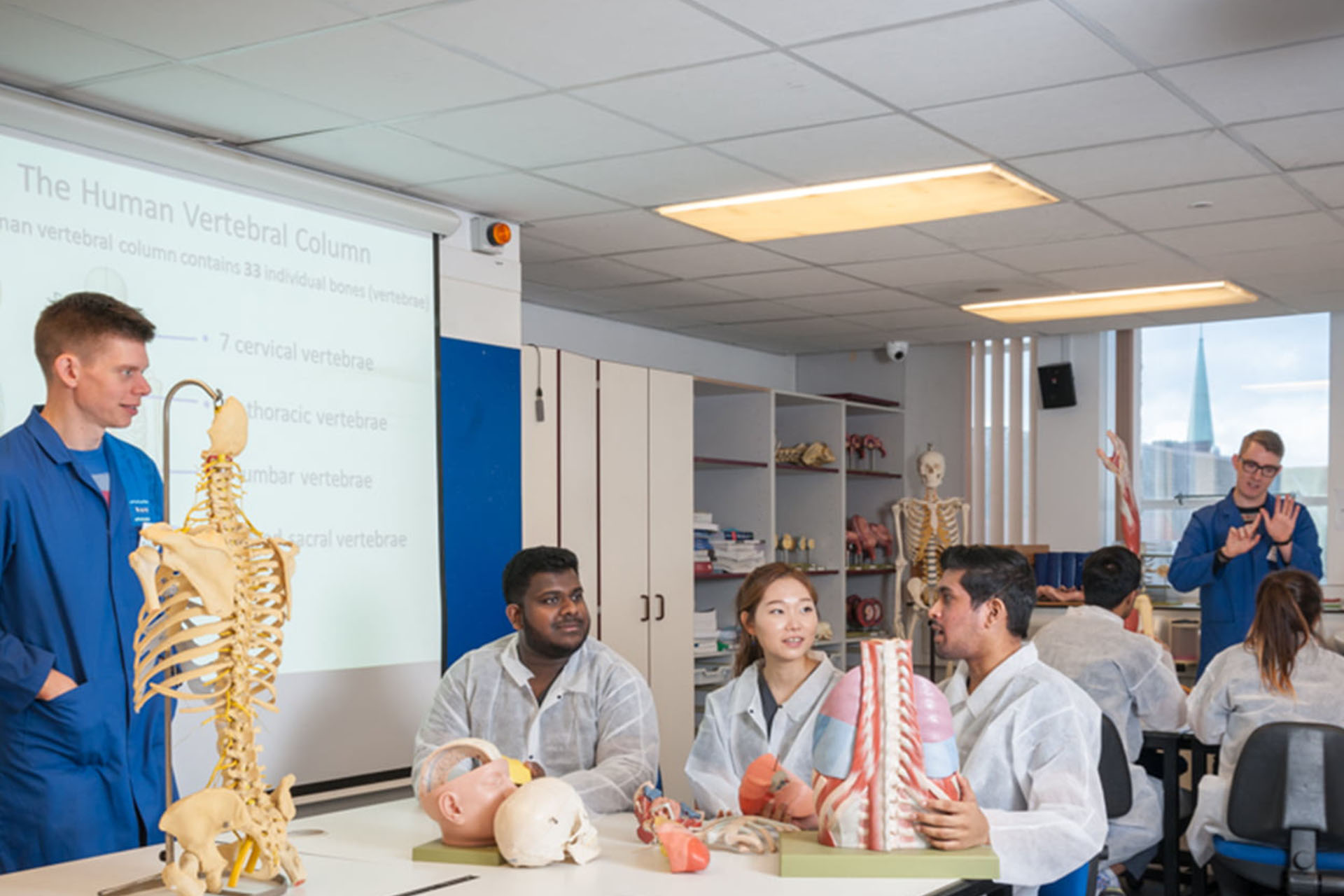 Technicians teaching students with anatomy models