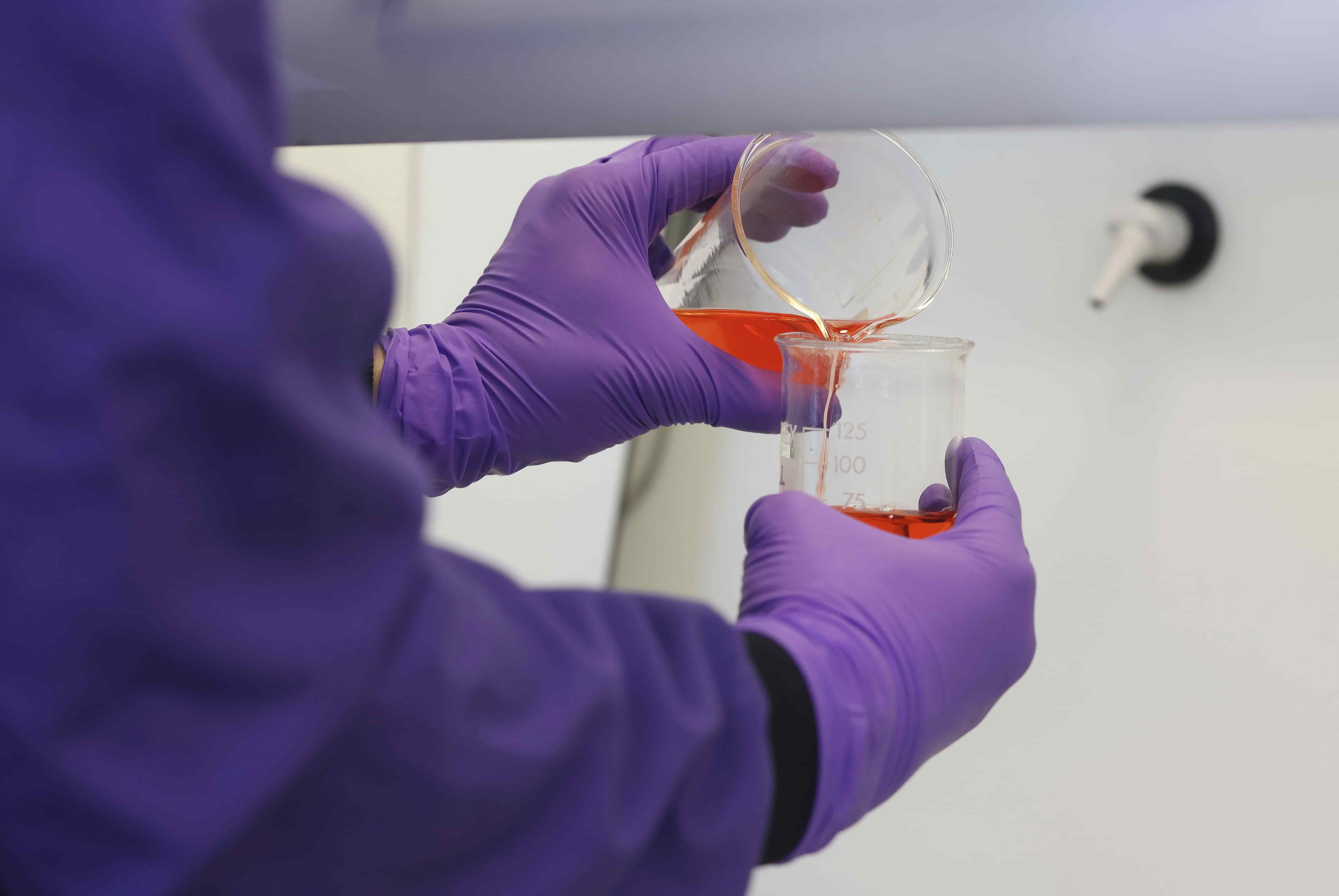 Close up image of gloved hands under a laboratory hood, pouring a liquid from one beaker to another