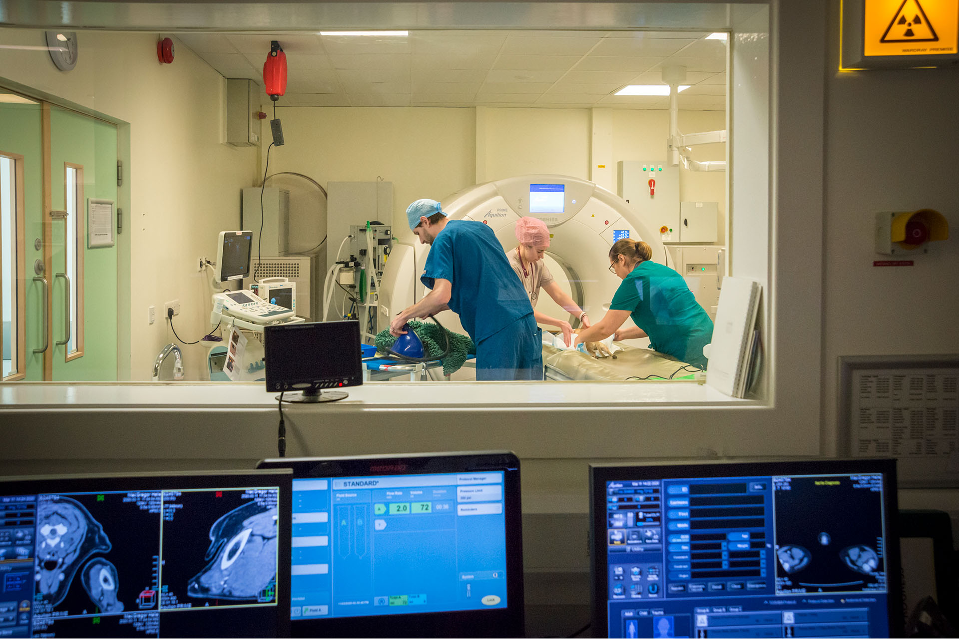 Vets using MRI scanner