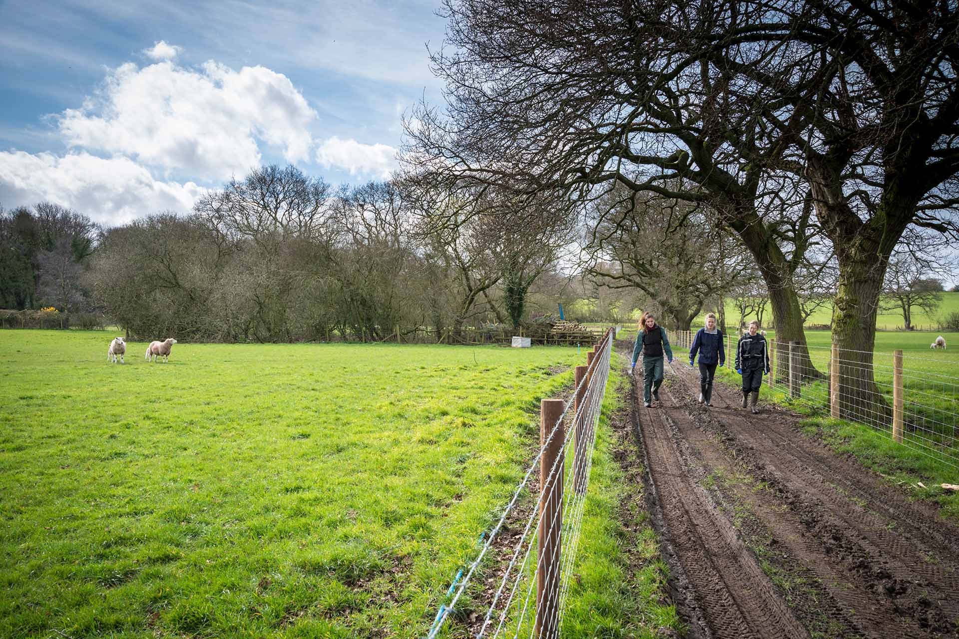 Leahurst campus farm land