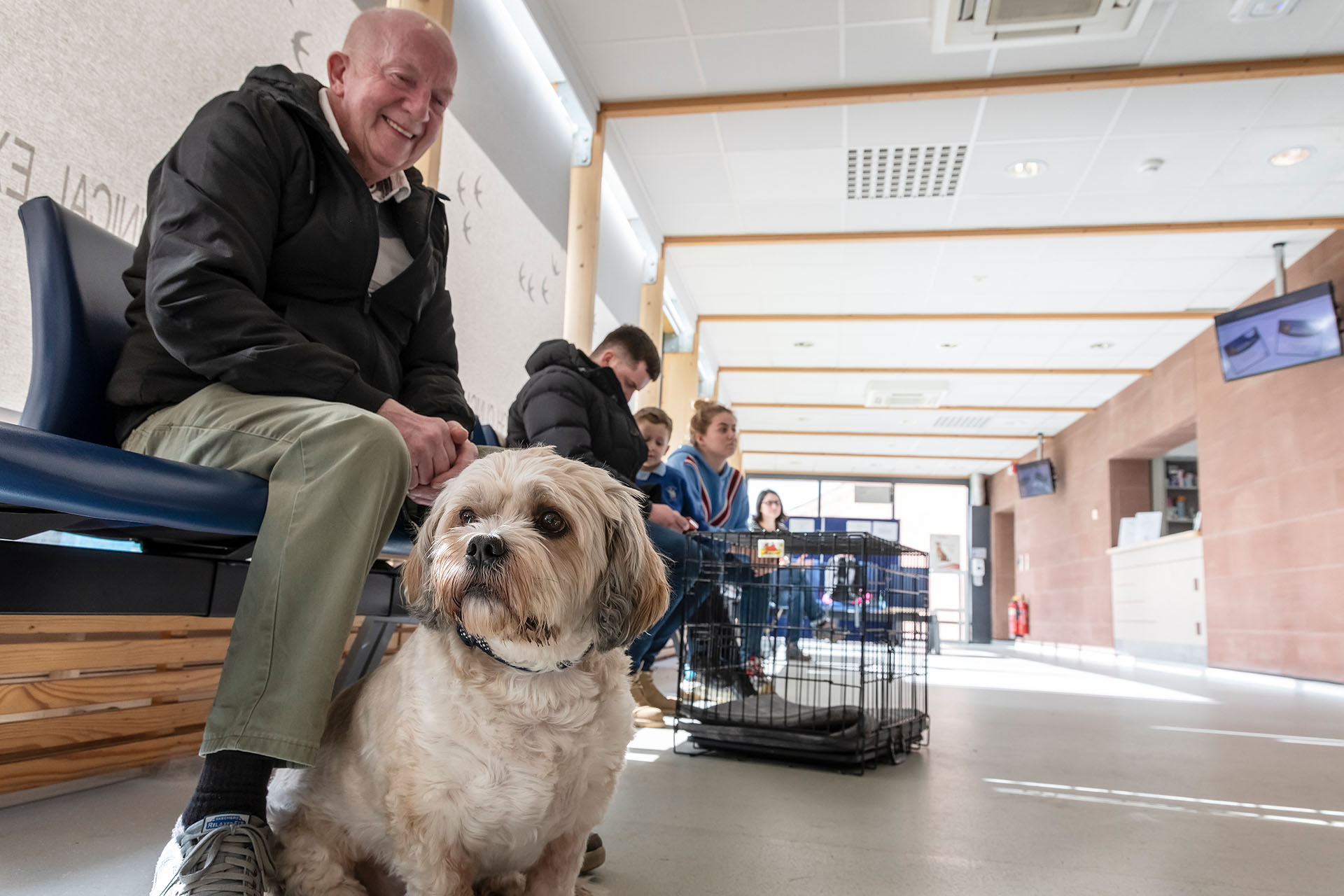 Pets at Small Animal Teaching Hospital