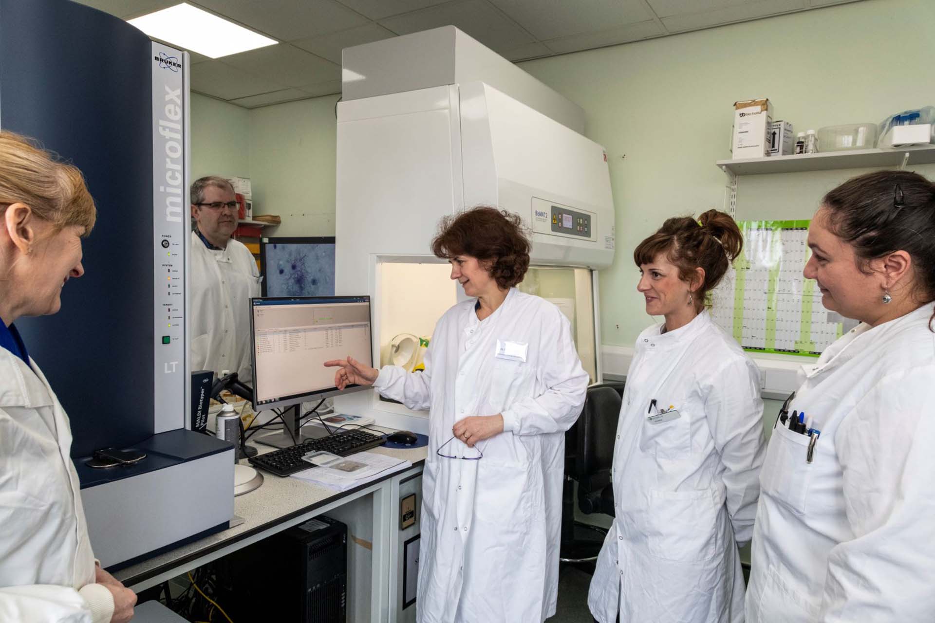 Researchers working in the lab