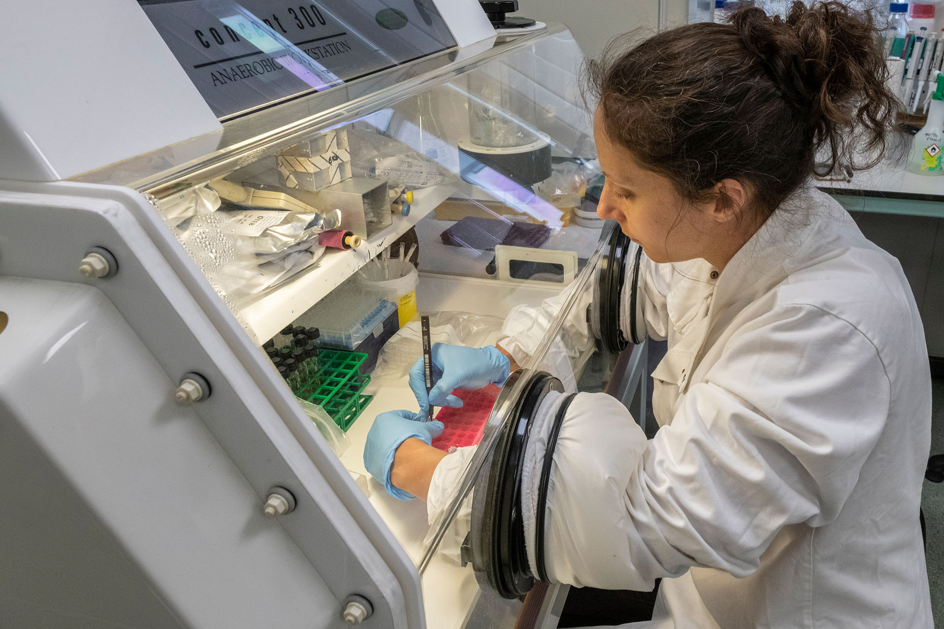 Researcher studying samples in the lab