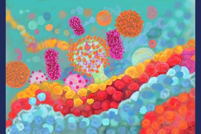 The Rainbow Microbiome is a digital illustration that illuminates the beauty and colourful diversity of our inner microbiome.