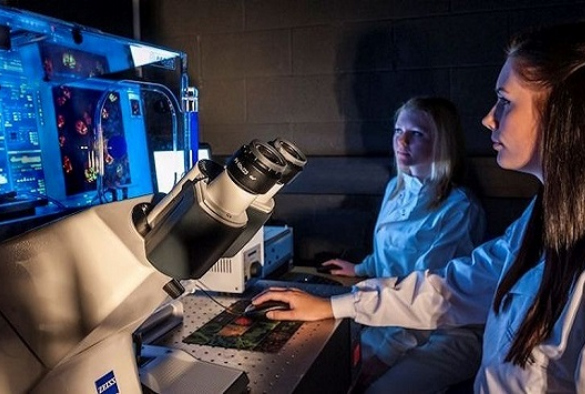 Female scientists working on microscopy images