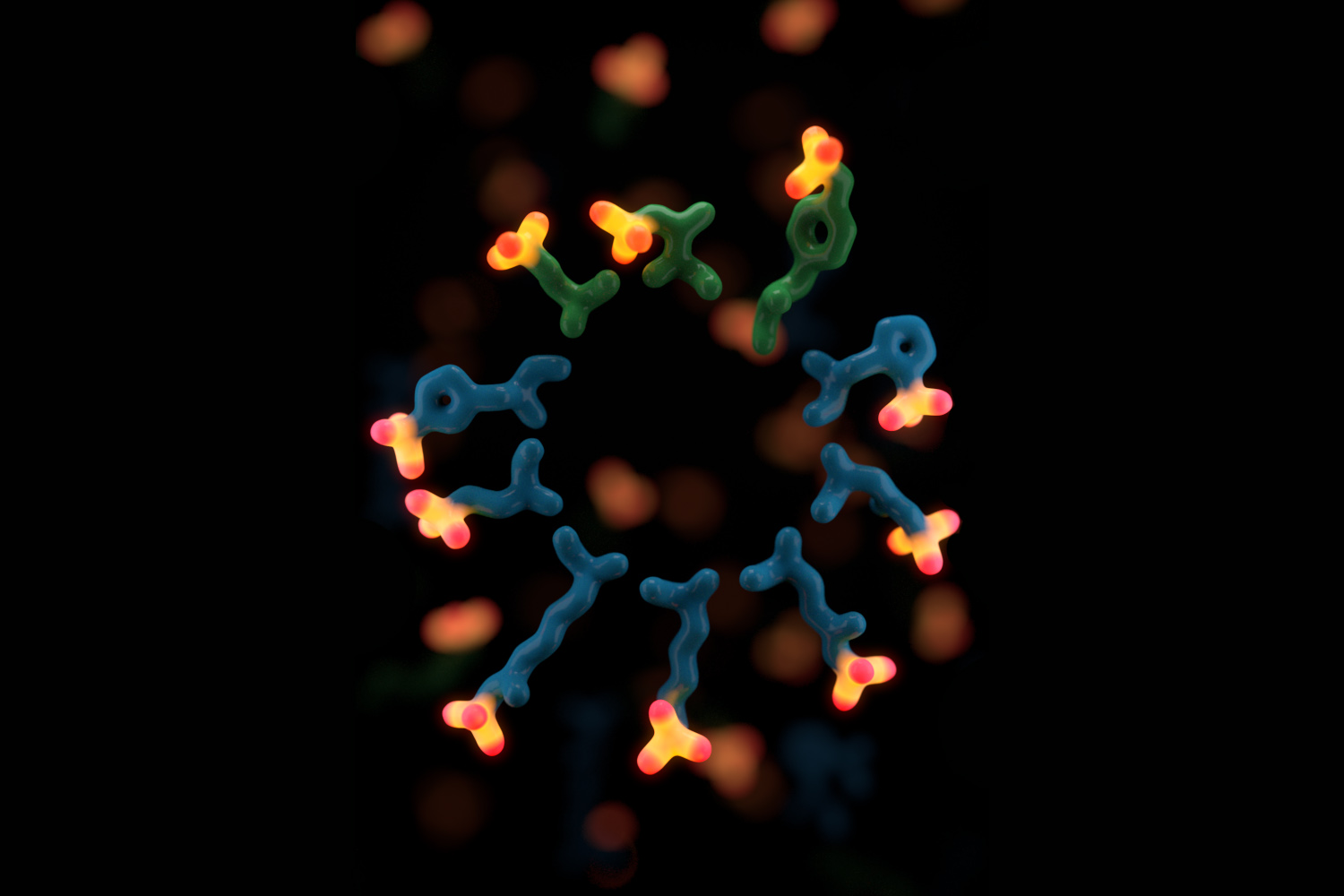 Protein post-translational modifications