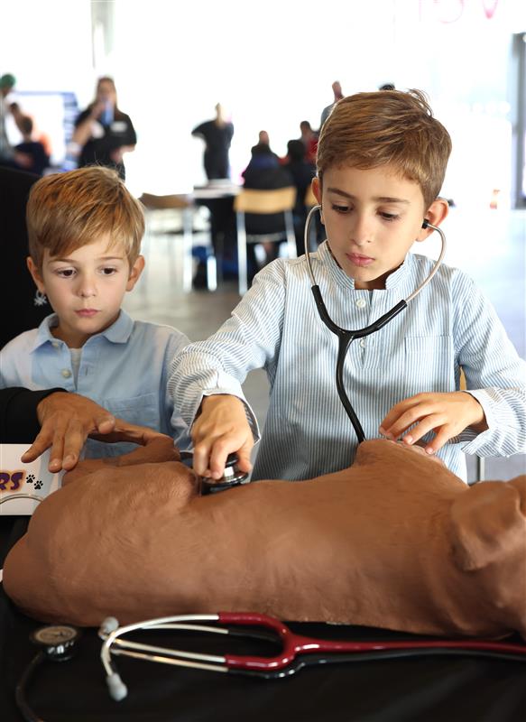 children listening to dog heartbeat using a stethoscope