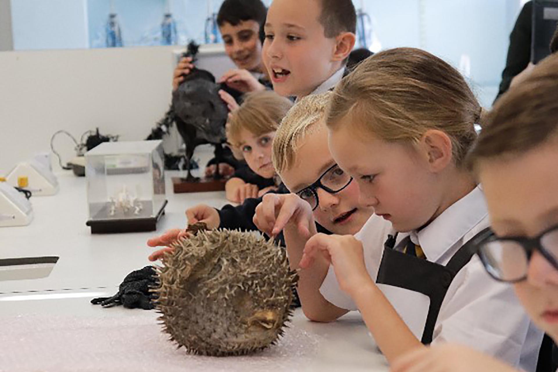 Children at Halloween Science session