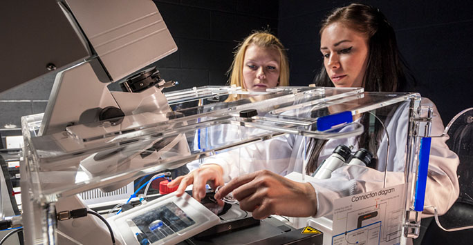 Students working in the lab