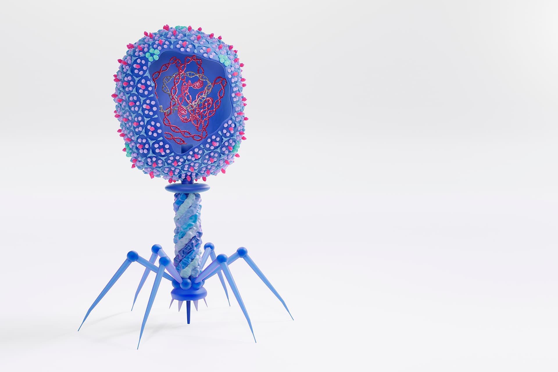 Illustration of phage