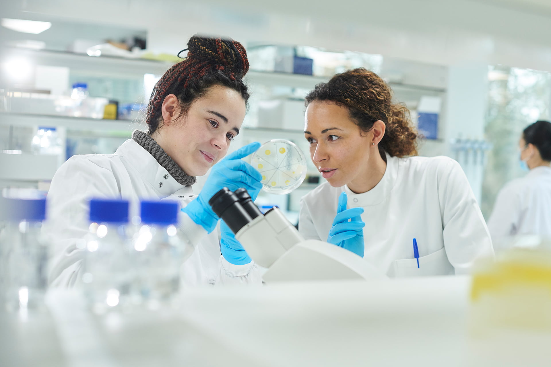 Scientists looking at petri dish