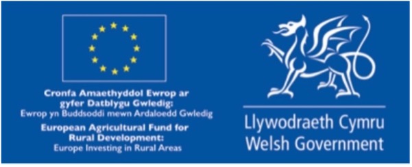 Welsh govt logo