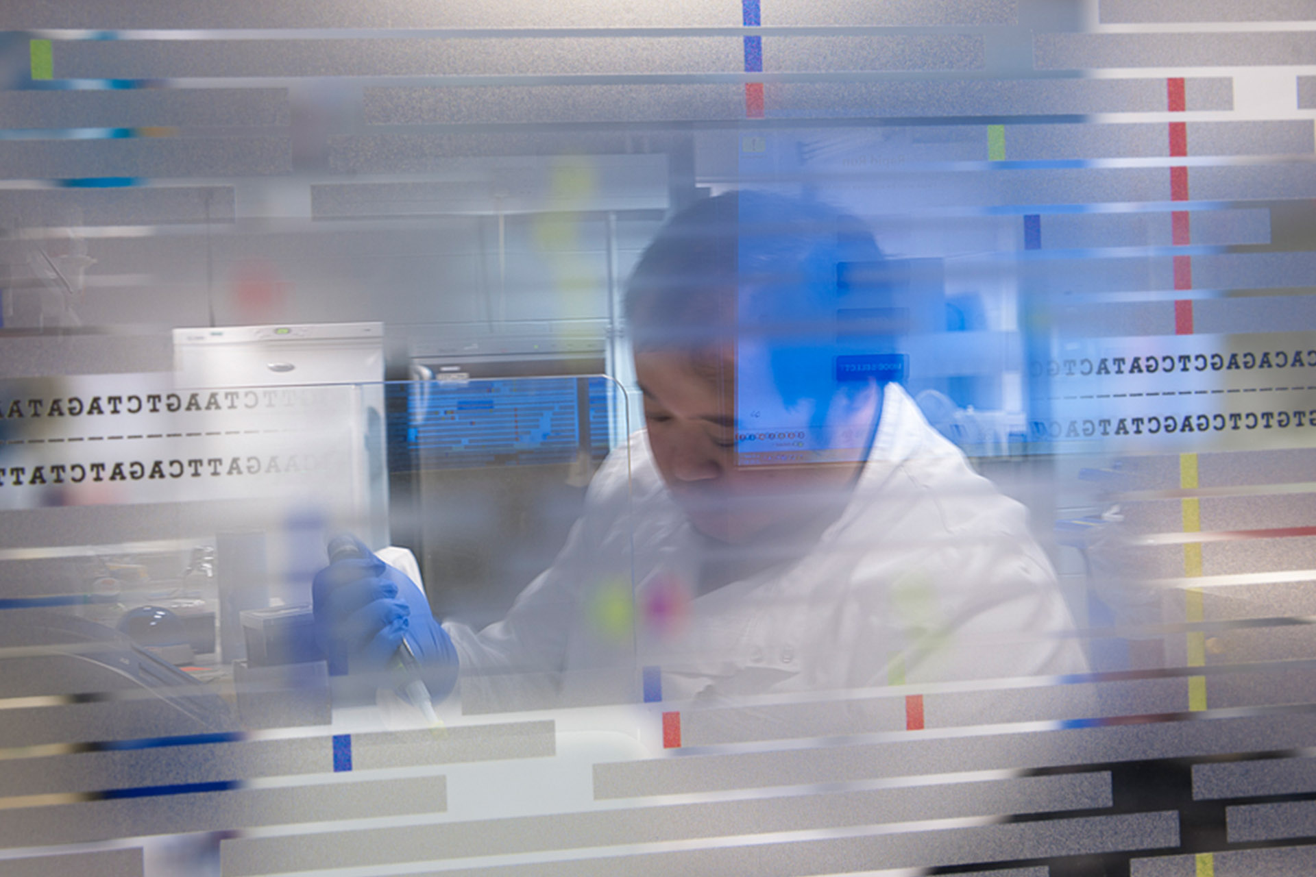 Researcher working in lab