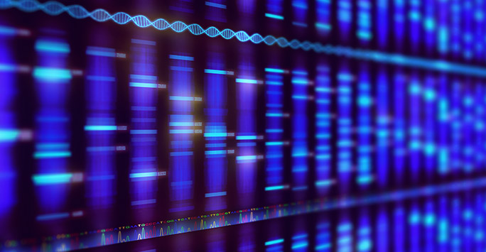 Genome sequence