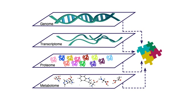 Image of DNA representing the genome, strand DNA represnting the transcriptome, protein representin the proteome and metabolites representing the metabolome, l=dotted lines to link 4 jigsaw pieces