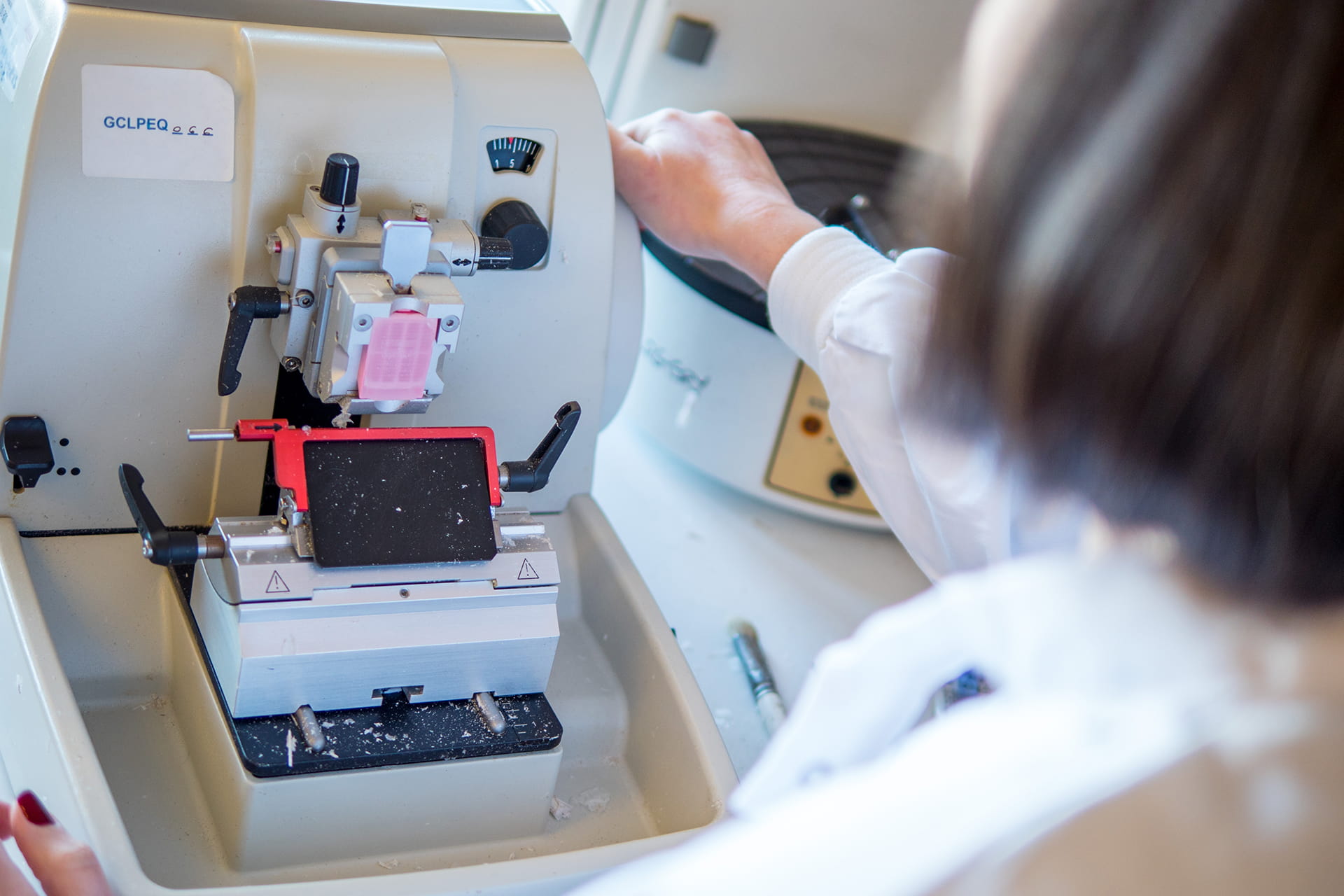 Biobanking samples being processed in lab