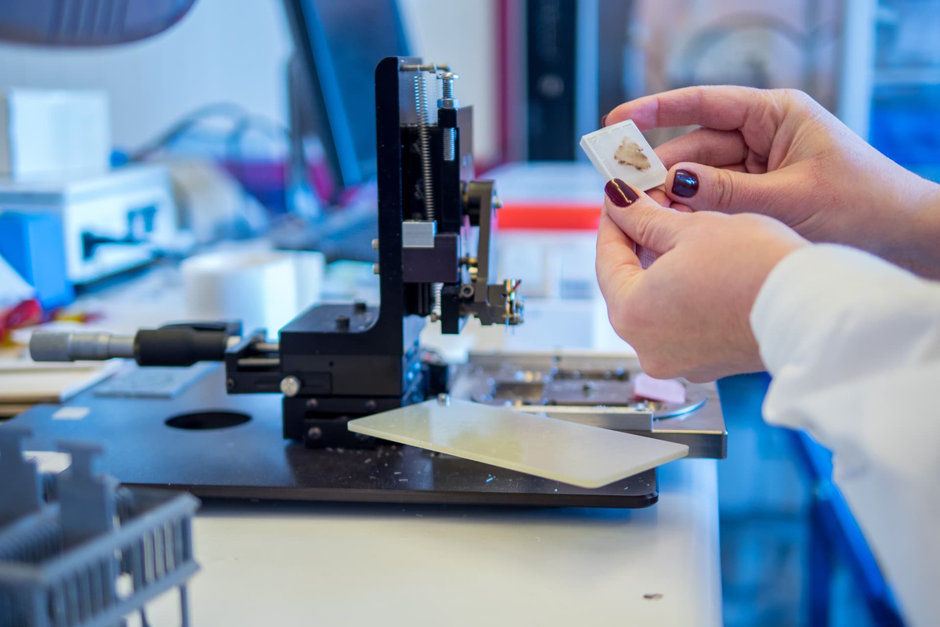 Biobanking samples on slide in lab