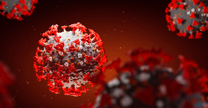 Image of coronavirus cell