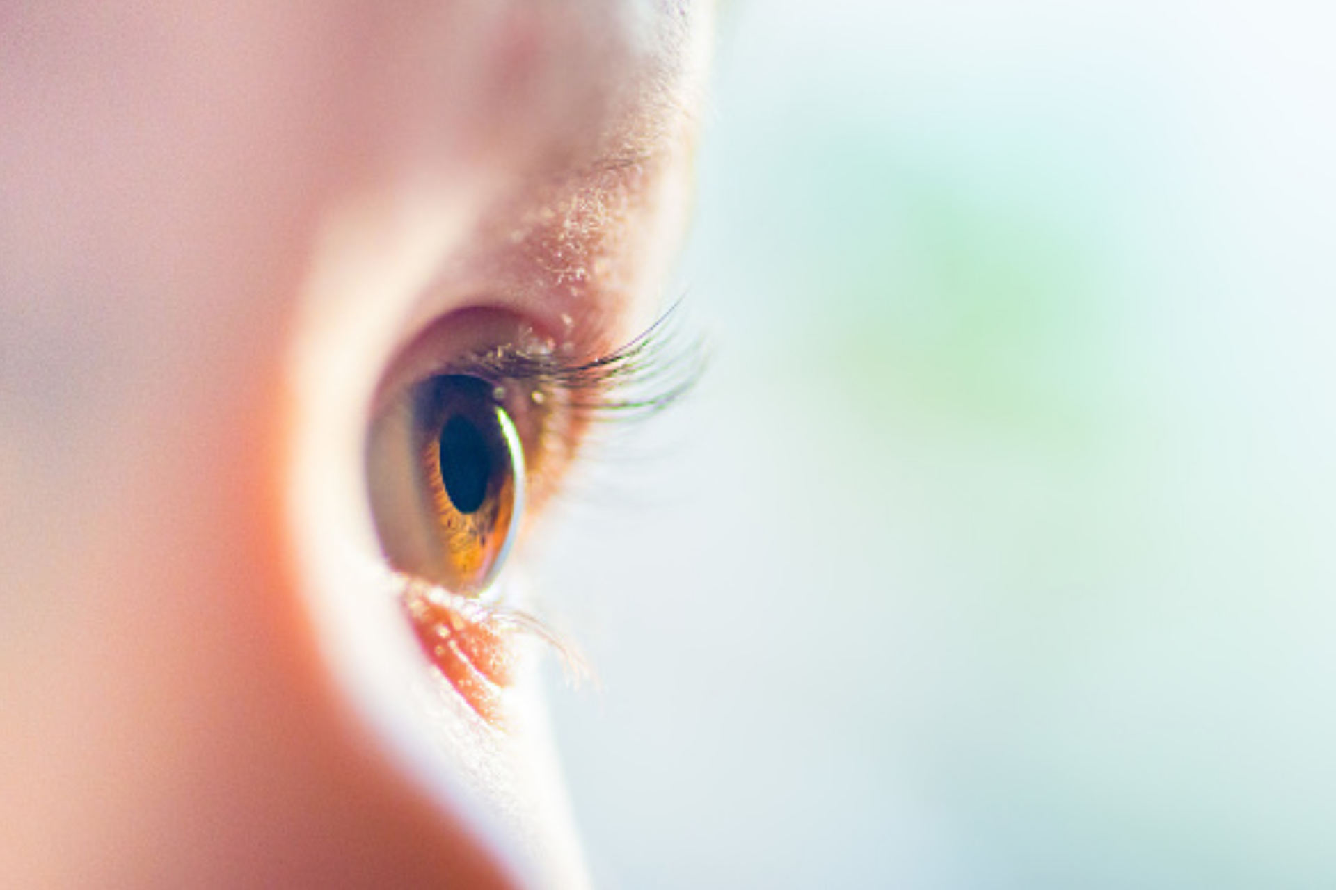 Close up of a child's eye