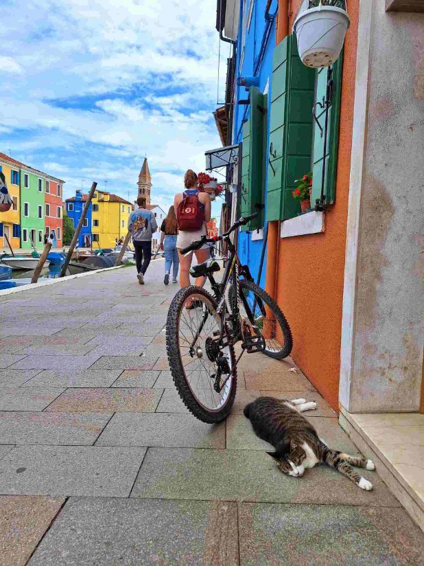 Burano colourful houses