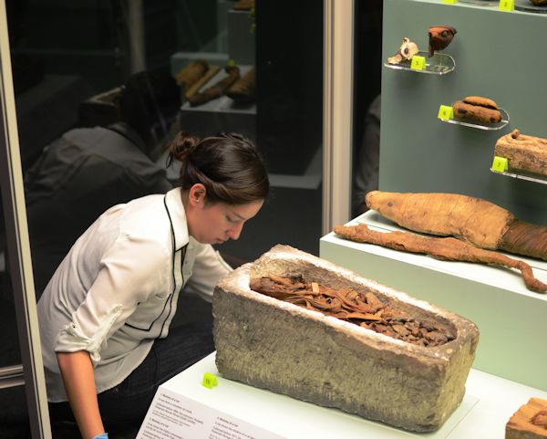 Curator installing mummies at the museum