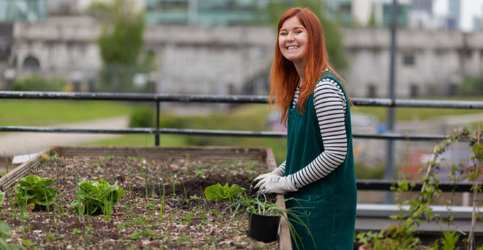 Student gardening 