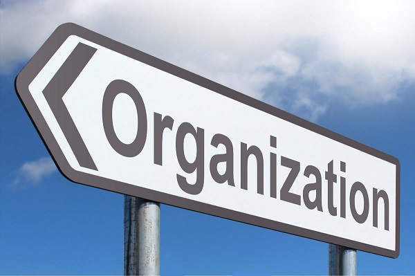 Arrow with the word 'organisation'