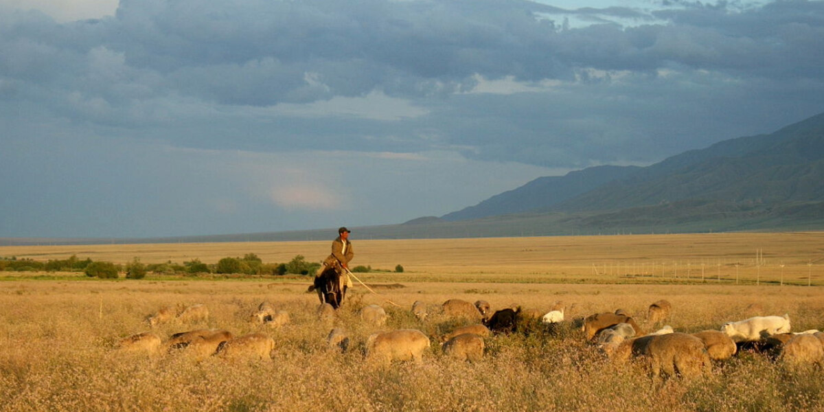 A man stands in the middle of a field in Central Asia