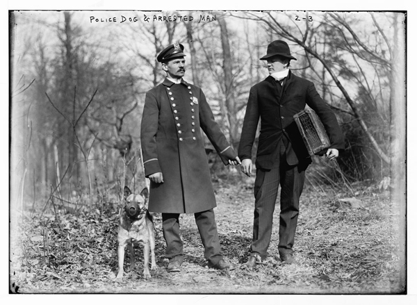 Archive image of a police officer and police dog