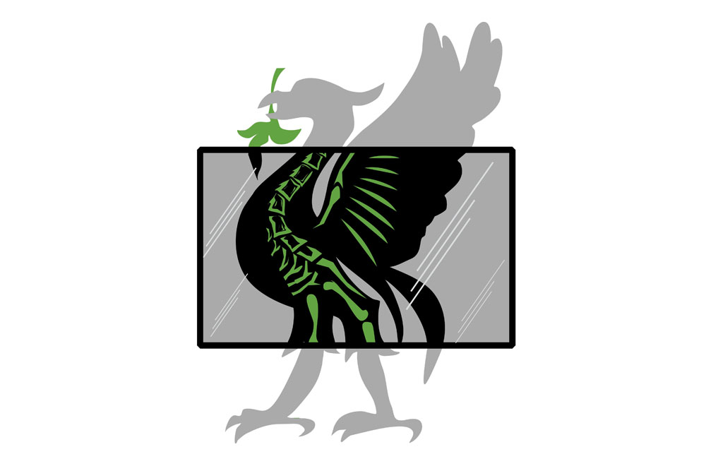 An illustration of a Liver Bird being x-rayed.