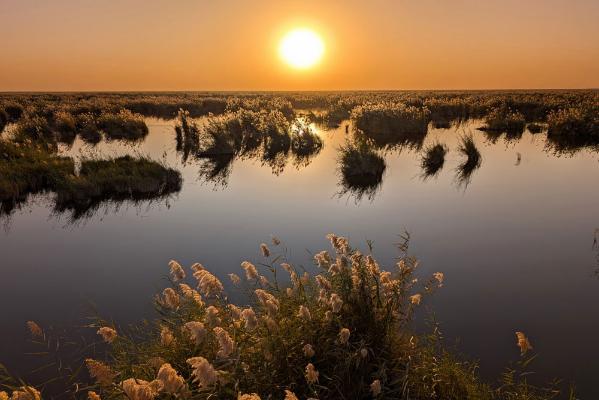 A view across the Iraq marshes at sunset.