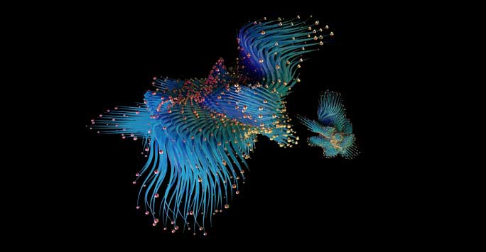 Computer simulation of a colourful fish flying through the air