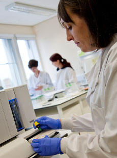 A female researcher in a laboratory