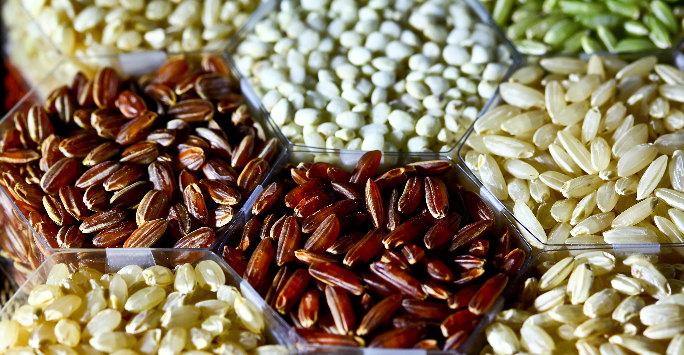 Rice Diversity.  Part of the image collection of the International Rice Research Institute (IRRI)