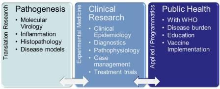 Diagram showing the work of the Liverpool Brain Infections Group