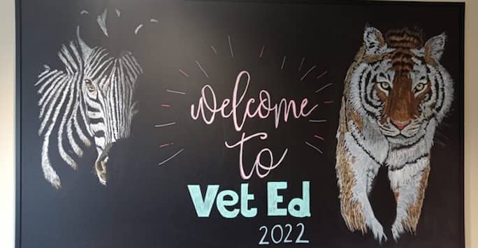 Liverpool vet student wins at International VetEd Symposium