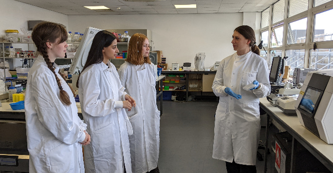 Research studentships in the Infection Neuroscience Lab